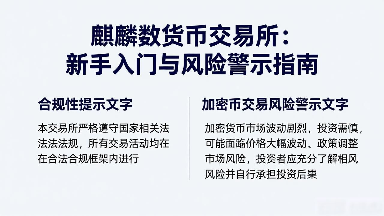 麒麟数字货币交易所：新手入门与风险警示指南